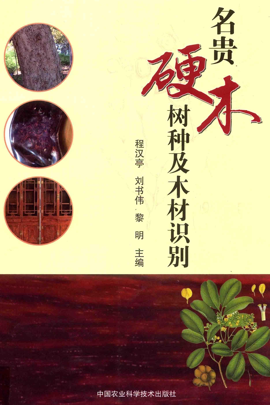 名贵硬木树种及木材识别